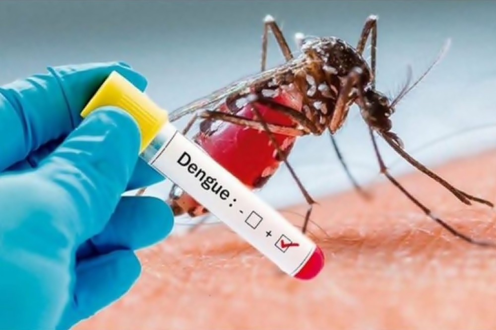 Casos de dengue aumentam na região